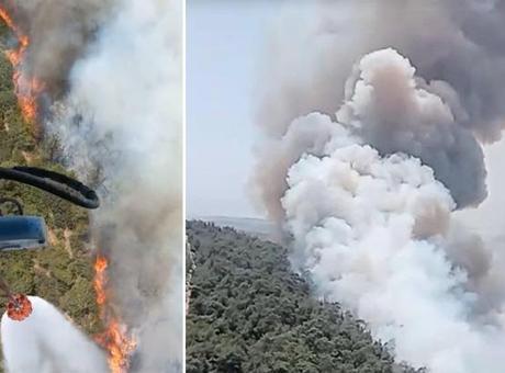 İzmir’de orman yangını! Havadan karadan müdahale