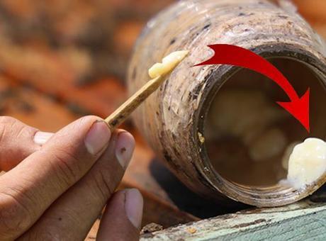 ‘Kanserin şifası’ diye biliniyor! Kilosu 45 bin lira