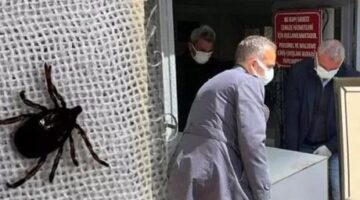 Kentte kabus devam ediyor: Bir kişi daha öldü