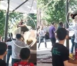 Kızgın boğa kasaba dehşeti yaşattı!