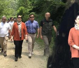 Köylüler tesadüfen buldu, bir ili heyecan sardı! ‘Sürecimiz devam ediyor’