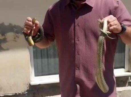 Köyün cesur kahramanı! Adı ’yılan avcısı’ oldu