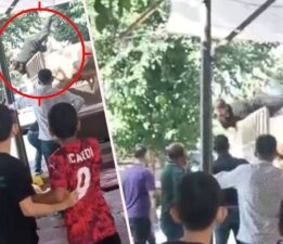 Kurbanlık boğa kasaba hayatının şokunu yaşattı