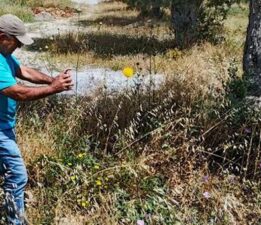 Lüks sitelerin arasında! Dokunmanın bedeli 557 bin TL: Büyük bir şans