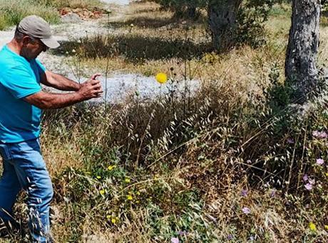 Lüks sitelerin arasında! Dokunmanın bedeli 557 bin TL: Büyük bir şans