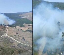 Manisa’da orman yangını! Havadan ve karadan müdahale ediyor