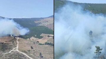 Manisa’da orman yangını! Havadan ve karadan müdahale ediyor
