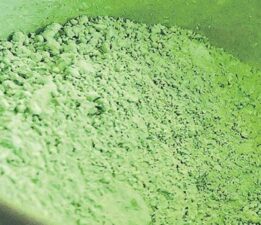 Matcha çılgınlığı