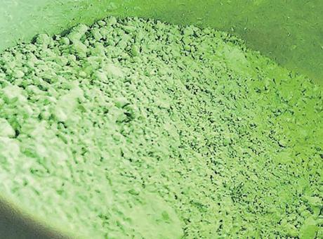 Matcha çılgınlığı