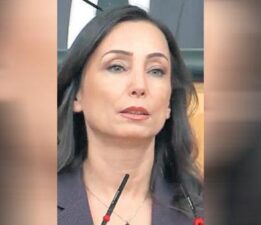 ‘Meclis kapanmasın 10 adım için çalışsın’