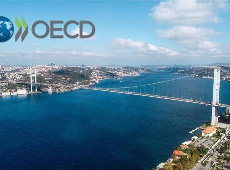 OECD, Türkiye ekonomisinin yüzde 2,9 büyüyeceğini tahmin etti