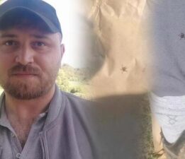 Onlarcası etrafını sardı! Kentte kabus: Köpekler gibi koku alıp üzerimize geliyorlar
