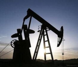 OPEC: Petrol piyasasında mevcut arz koşullarında müdahaleye gerek yok