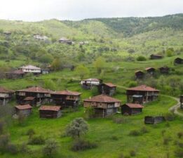 Ormanın içinde gizli hazine! 7 mahalleli, 80 haneli köyü gören dönmek istemiyor