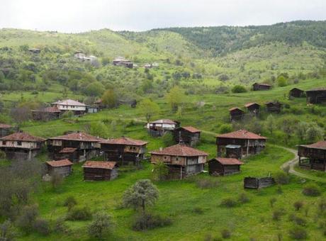 Ormanın içinde gizli hazine! 7 mahalleli, 80 haneli köyü gören dönmek istemiyor