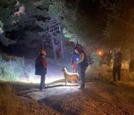 Pendik’te ormana girdi ve ardından kayboldu! Ekipler harekete geçti