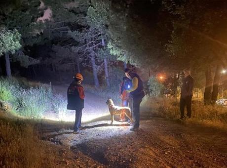 Pendik’te ormana girdi ve ardından kayboldu! Ekipler harekete geçti