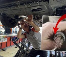 Pes dedirten görüntü: Otomobilin motorundan bulaşık teli çıktı