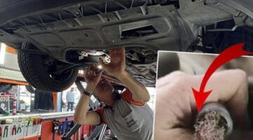 Pes dedirten görüntü: Otomobilin motorundan bulaşık teli çıktı