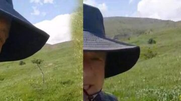 Sıra dışı anlar! Mantar toplamaya çıktı şaşkına döndü