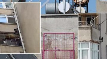 Siteye giren maymun ‘Hayri’ için kafesli operasyon! Evlere iniyor, ne bulursa yiyor