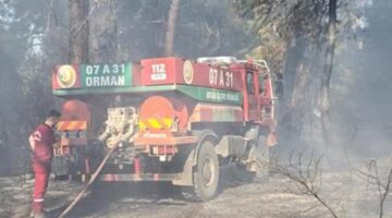 Son dakika: Antalya’da iki farklı ilçede orman yangını