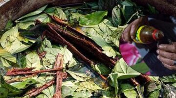 SON DAKİKA HABERLERİ: PRENS HARRY’NİN DE İÇTİĞİNİ SÖYLEDİĞİ AYAHUASCA ÇAYI BİR TURİSTİN ÖLÜMÜNE YOL AÇTI
