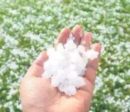 SON DAKİKA! Meteoroloji uyarmıştı! Bir anda her taraf beyaza büründü! Ekinler zarar gördü