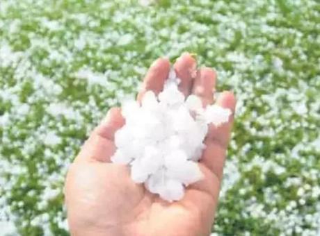 SON DAKİKA! Meteoroloji uyarmıştı! Bir anda her taraf beyaza büründü! Ekinler zarar gördü