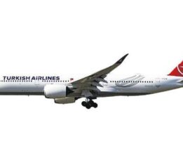 THY Air Europa hisselerine teklif vermeyi düşünüyor
