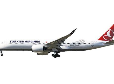 THY Air Europa hisselerine teklif vermeyi düşünüyor