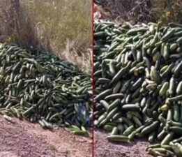 Ticaret Bakanlığından açıklama! Kocaeli’de boş araziye dökülen salatalıklar için ceza