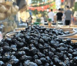 Tirilye’de Zeytin Çiçeği Festivali