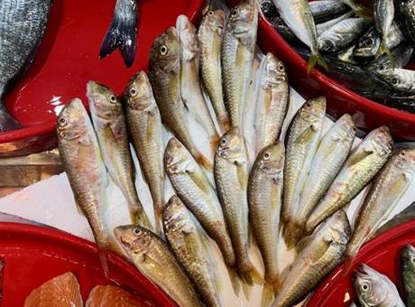 Trabzon’da balıkçı tezgahlarında bolluk!