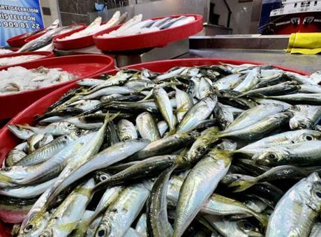 Trabzon’da istavrit ve mezgit balıkçı tezgahlarını süslüyor