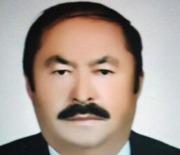 Trabzon’un arı sokması can aldı! Eski muhtar hayatını kaybetti