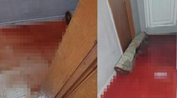 Yer Gaziosmanpaşa: Kanalizasyondan gelen kurban kanı 2 daireyi bastı