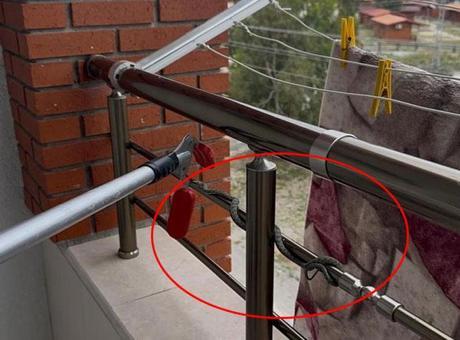 Yılanlar her yeri sardı! Evin balkonundan, aracın kaputundan çıktılar