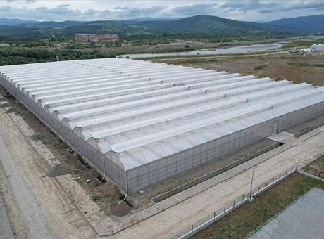 Zonguldak’taki sera organize tarım bölgesi ekonomiye yıllık 750 milyon lira katkı verecek