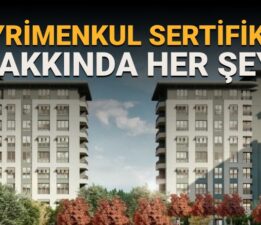 15 soruda Gayrimenkul Sertifikası: Gayrimenkul Sertifikası nedir? Sertifika ile nasıl ev sahibi olunur?