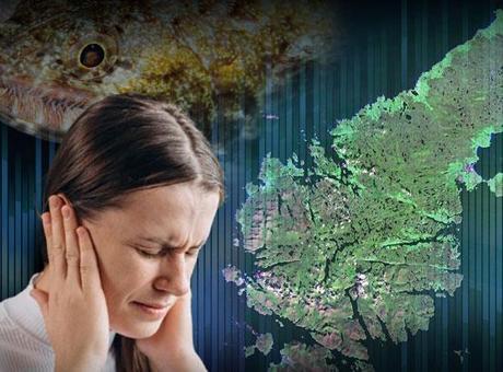 6 aydır süren vızıltı depremin işareti mi? Mide bulantısı yarattı: ‘Hayatı sorgulatıyor’