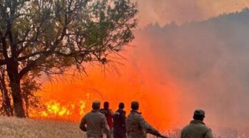 61 orman yangınıyla ilgili 23 şüpheli gözaltına alındı