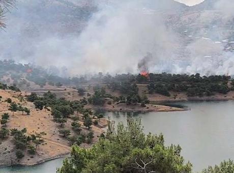 Adıyaman’da orman yangını! Çok sayıda ekip sevk edildi
