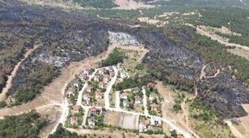 Alevler villaları yutacaktı! Yangının boyutu dehşete düşürdü