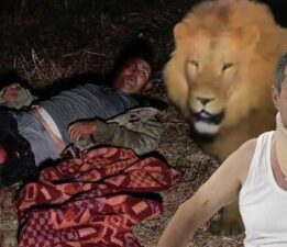 Antalya’da aslan saldırısında yaralanmıştı! Günler sonra ortaya çıktı: ‘Rüyalarıma giriyor, işçiler tarlaya gidemiyor’