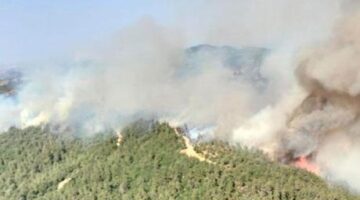 Balıkesir’deki orman yangını kontrol altında