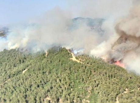 Balıkesir’deki orman yangını kontrol altında