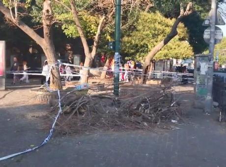 Beşiktaş’ta şiddetli rüzgar sonucu ağaç devrildi! Kaldırımda yürüyen 3 kişi yaralandı