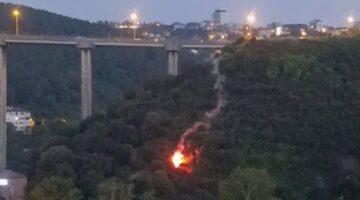 Beykoz’da orman yangını: Yanan cisim ağaçlara düştü