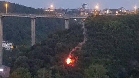 Beykoz’da orman yangını: Yanan cisim ağaçlara düştü